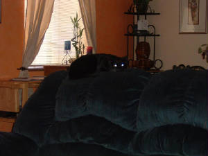 dscf0010.jpg