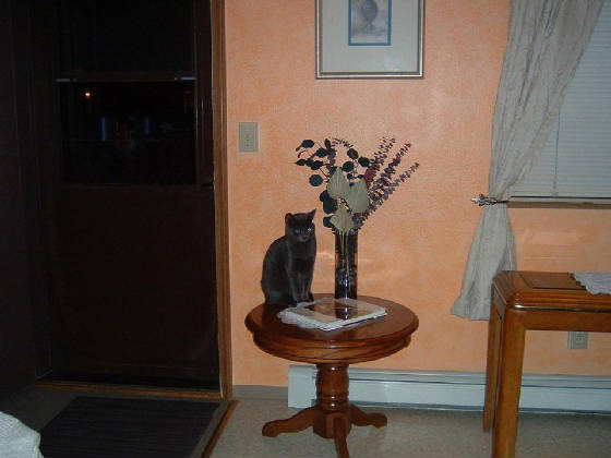 picture007.jpg